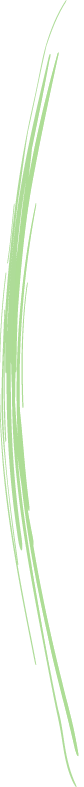 A green background with some white lines
